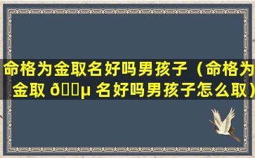 命格为金取名好吗男孩子（命格为金取 🌵 名好吗男孩子怎么取）